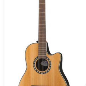 Guitare Ovasion + Ampli Spider